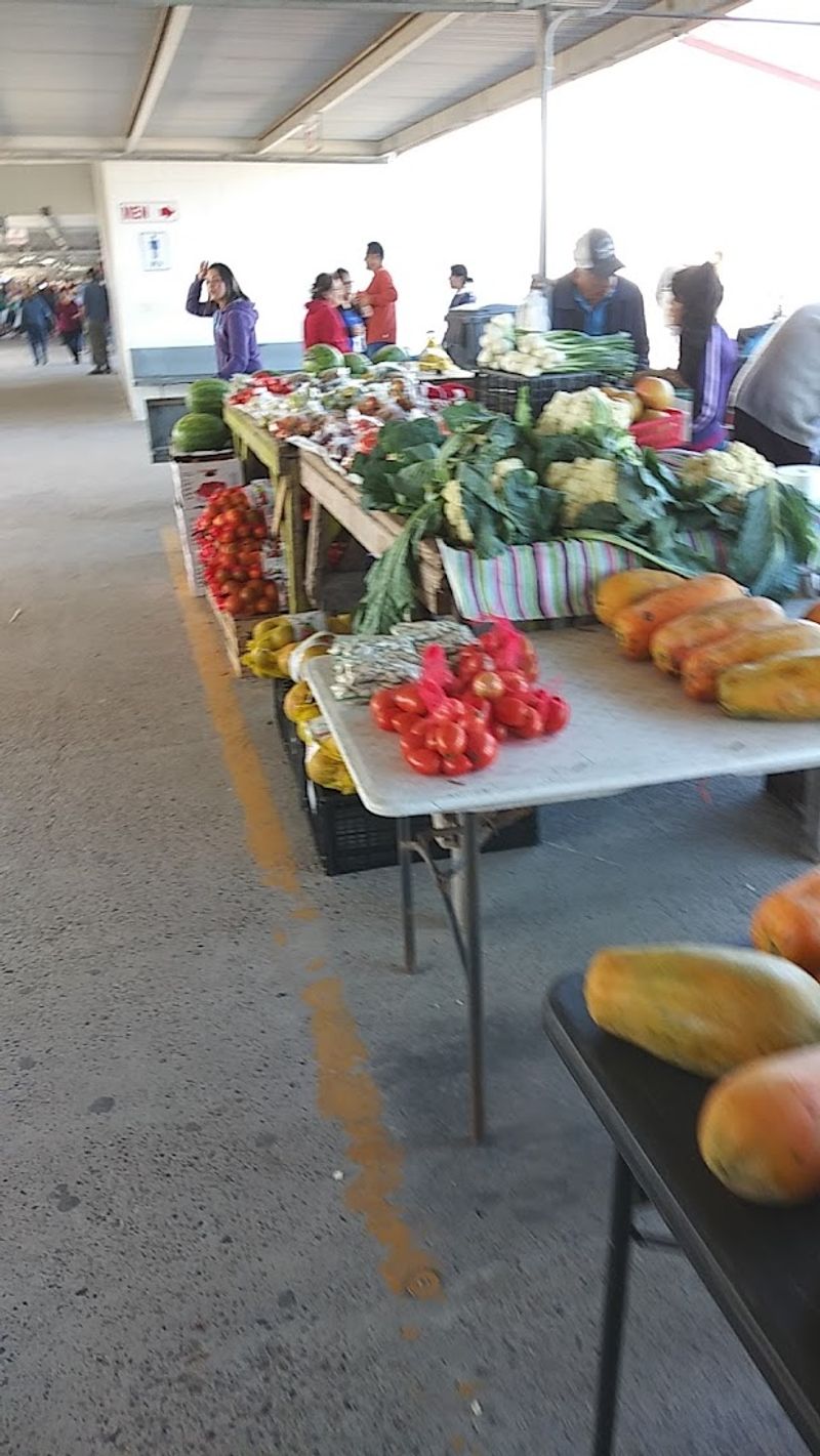 Practical Tips for Making the Most of Your Visit