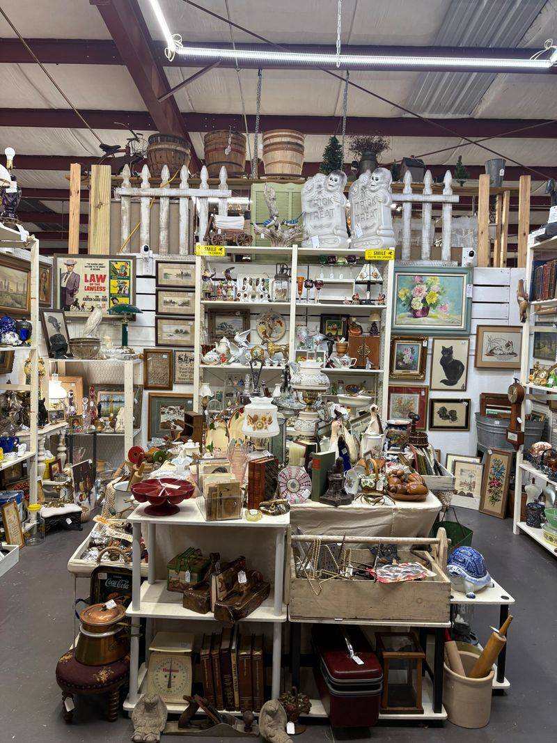 Climate-Controlled Comfort for Year-Round Browsing