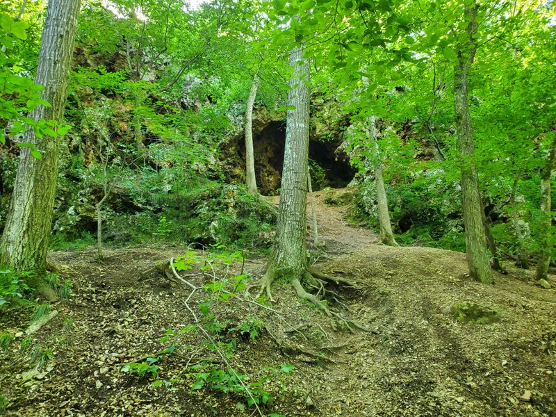 Day Use Areas Where Locals Know to Gather