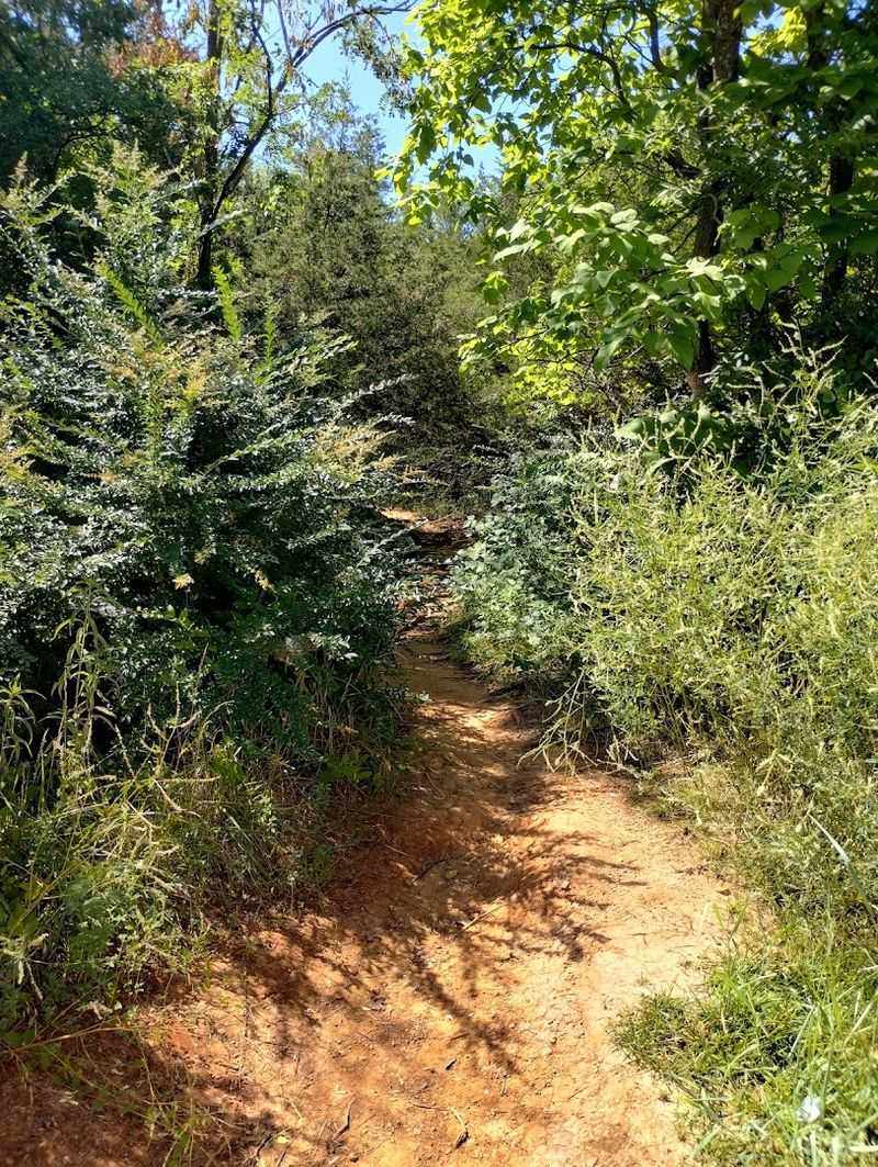 Practical Things Worth Knowing Before You Go