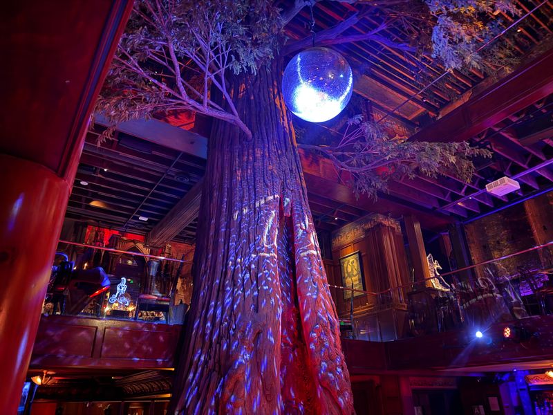 The Indoor Forest That Defines The Experience