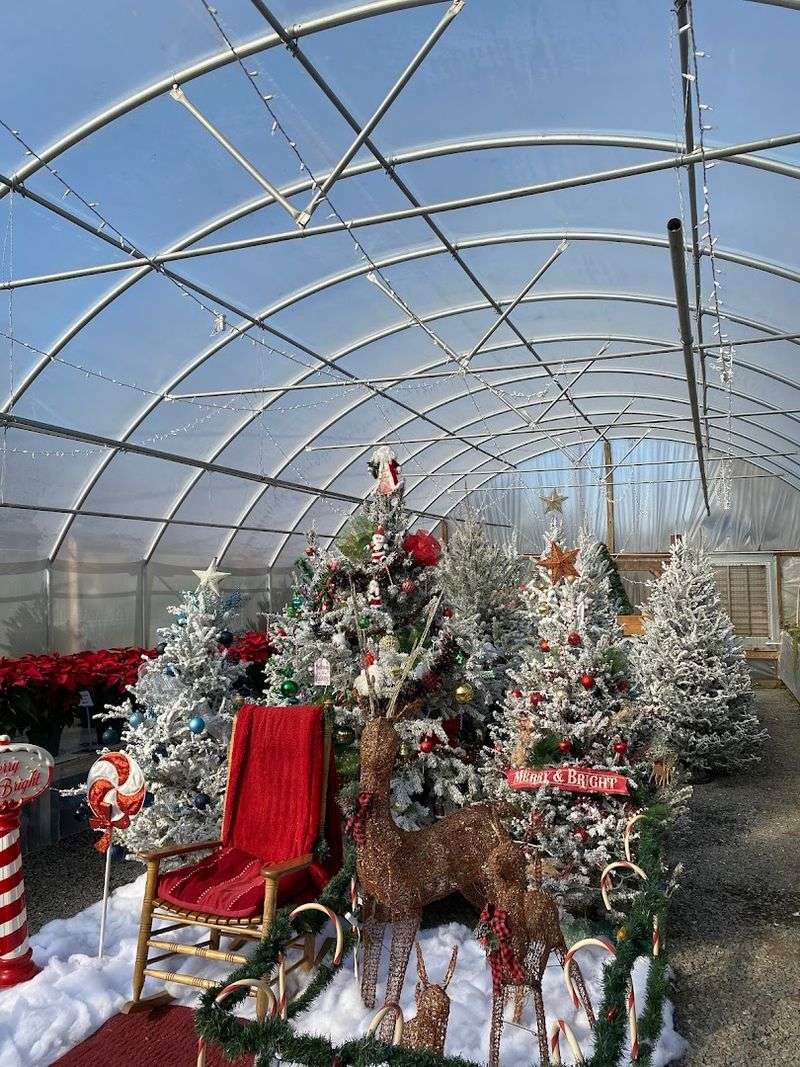 Seasonal Events And Christmas Magic In Northeast Texas