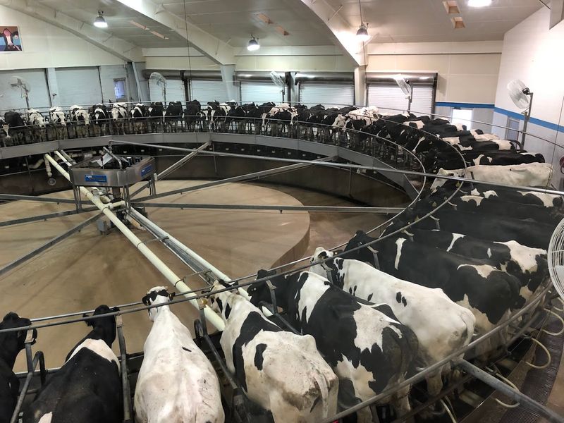 Connecting with Real Indiana Farm Life