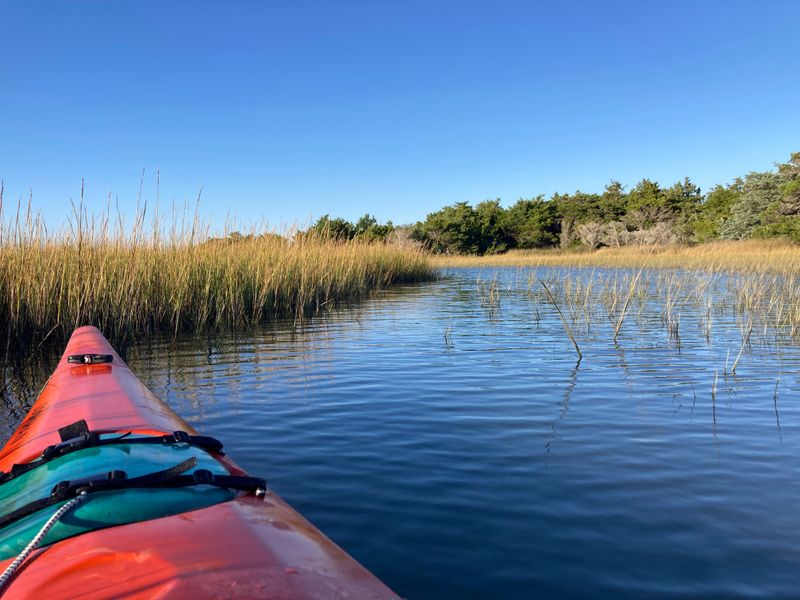 Rachel Carson Reserve Time For Kayaks And Quiet Wildlife