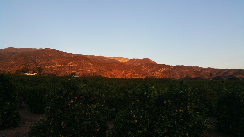 A Night Sky And Mountain Backdrop That Changes The Mood