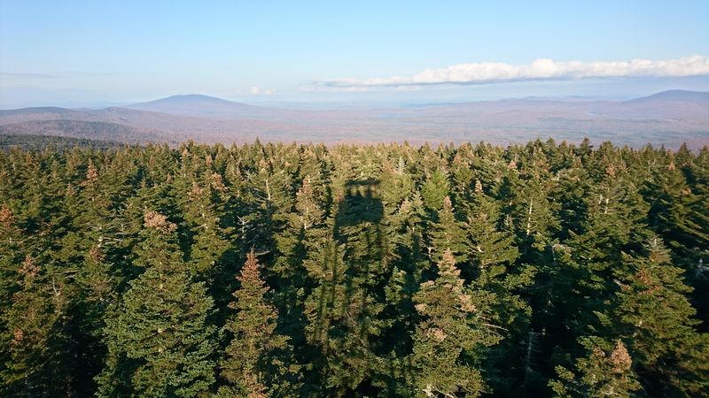 Echoes That Feel Like The Mountain Talking