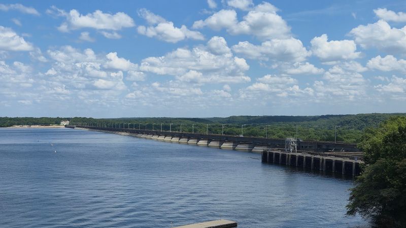 Ozark Mountain Roots Flavor Everything Here