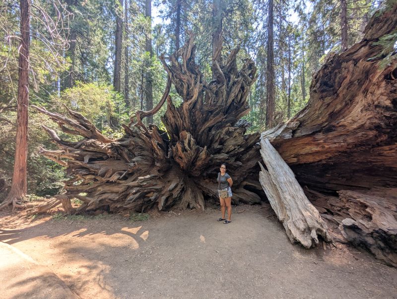 A Surprise For First-Time Visitors