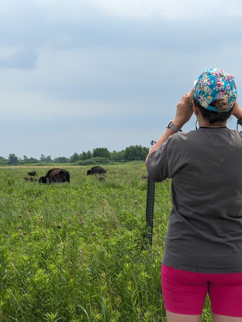 Outstanding Wildlife and Bird Watching Opportunities