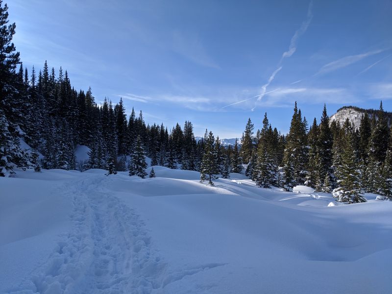 Snowy Trails And Easy Scenic Walks Near Town