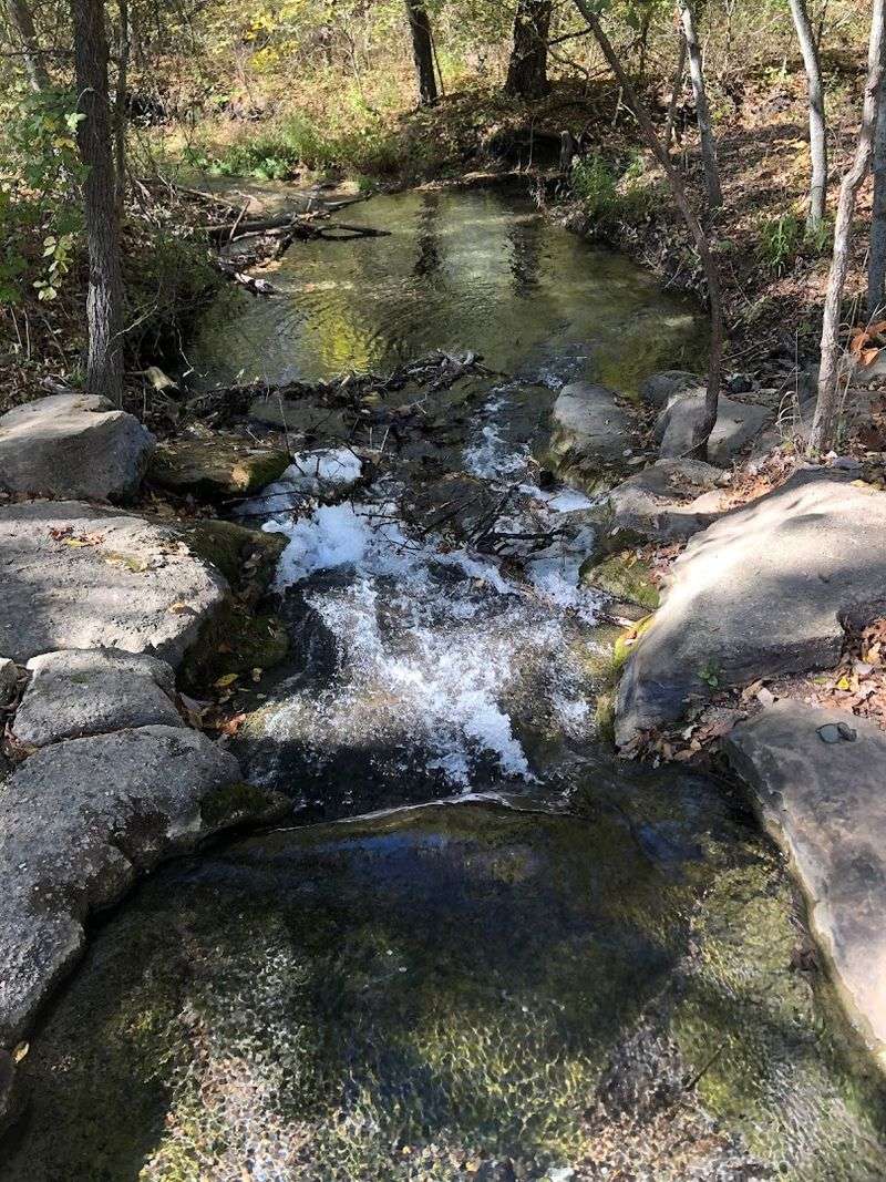 The First Moment You Hear the Water