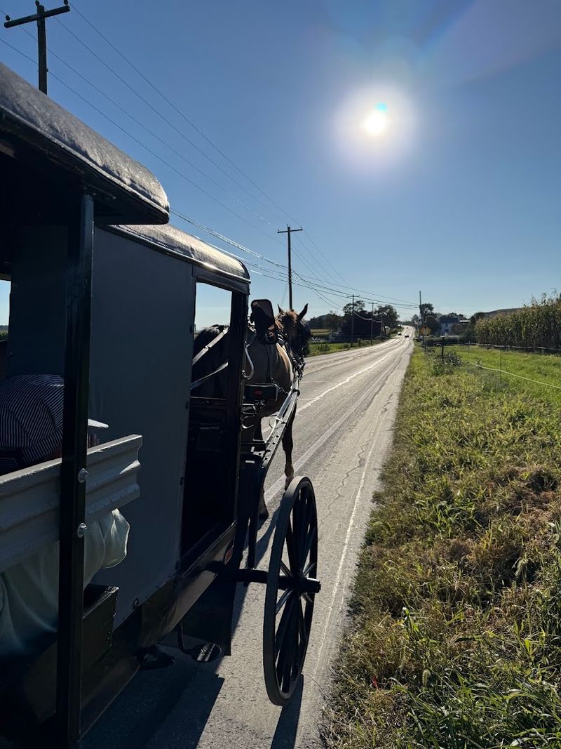Buggy Ride Etiquette That Keeps The Mood Peaceful