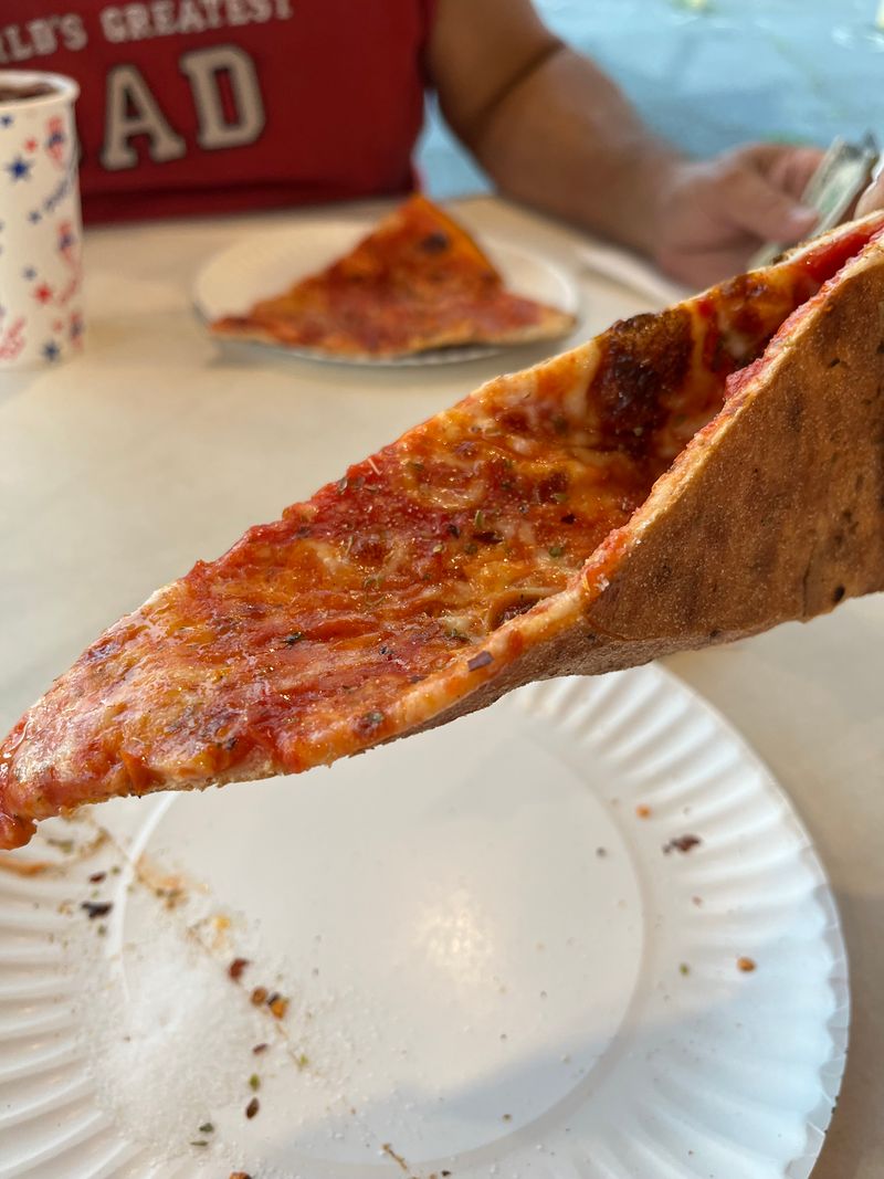 The Thin Crust That Passes Every Fold Test With Flying Colors
