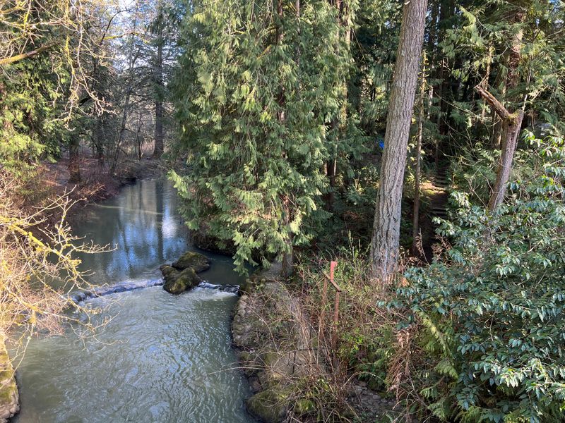 Johnson Creek's Gentle Soundtrack