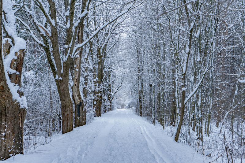 Winter Trail Rides Feel Like A Secret Upgrade