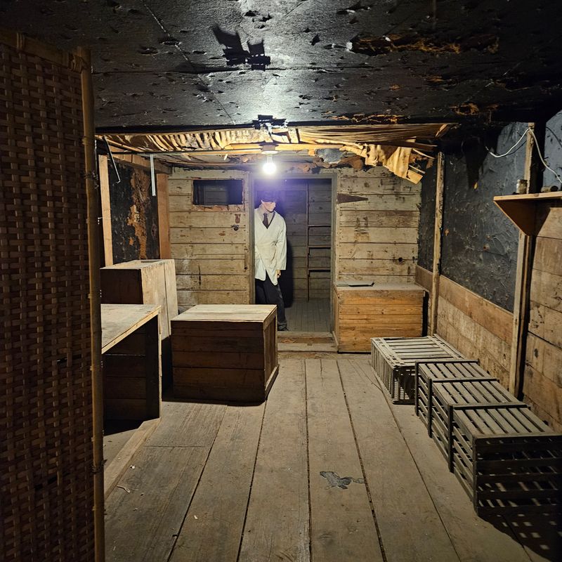 Prism Lights Pierce the Darkness