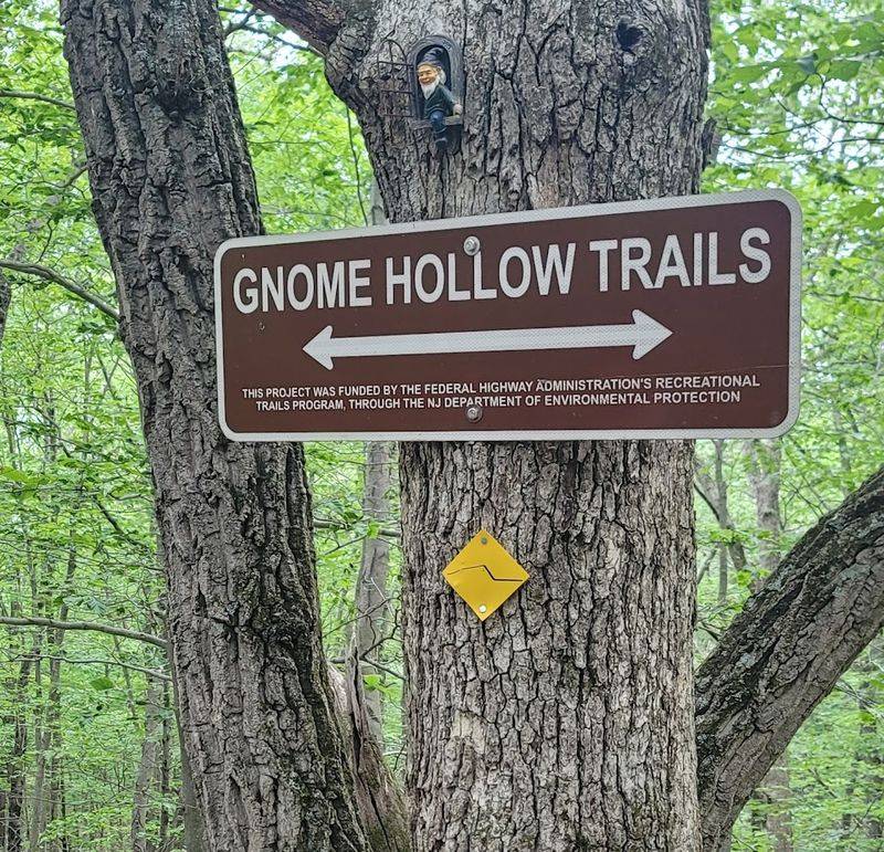 Parking And Trailhead Simplicity