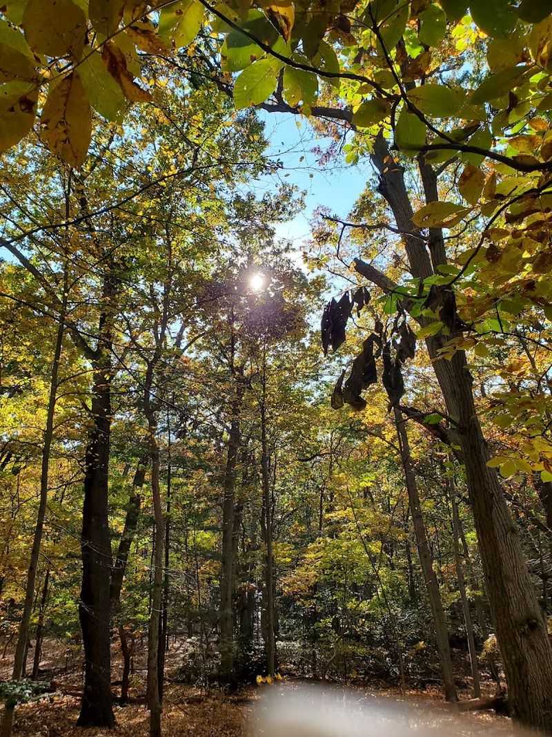 Miles of Multi-Use Trails That Actually Feel Remote