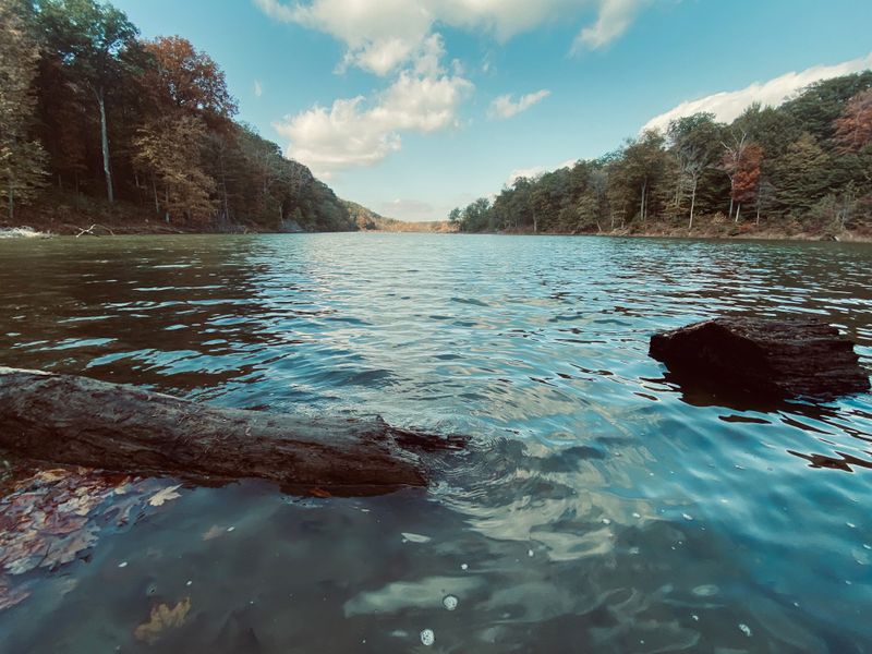 Stunning Seasonal Colors That Transform the Trail
