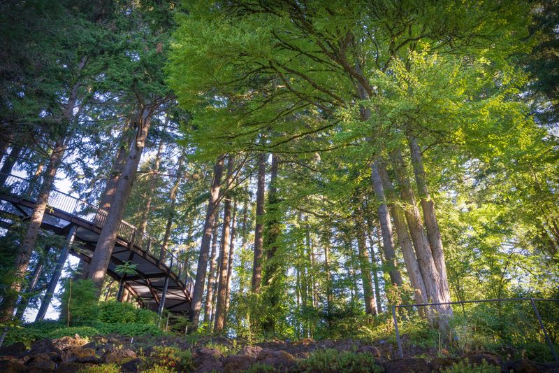 The Back 5 Restoration Project