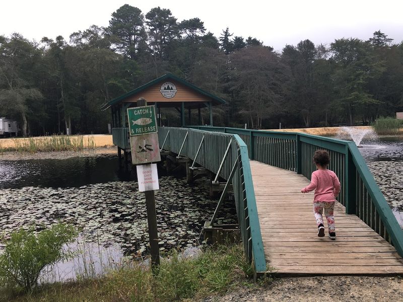 Kid-Friendly Activities That Keep Everyone Busy