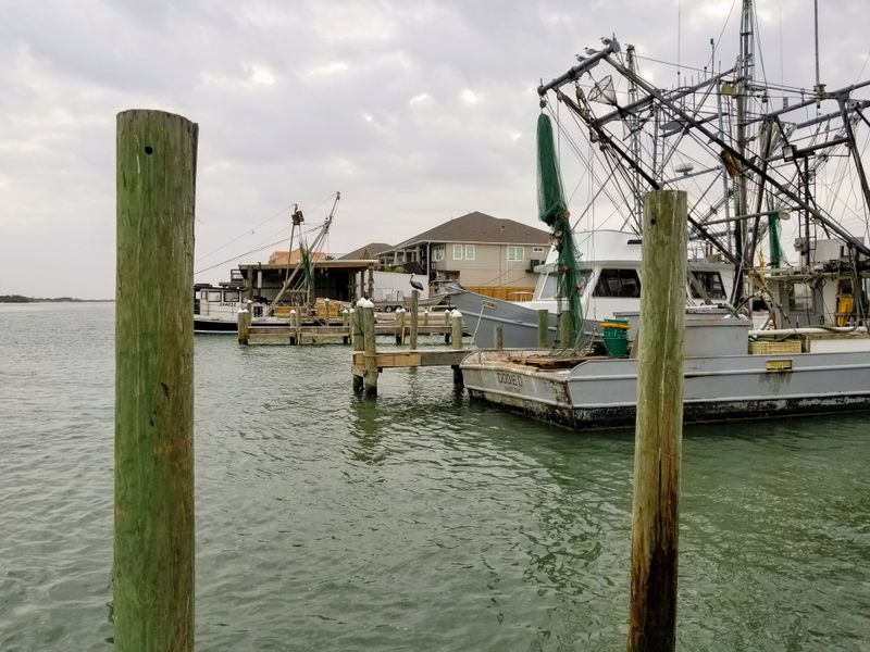 A Harbor That Still Works For A Living