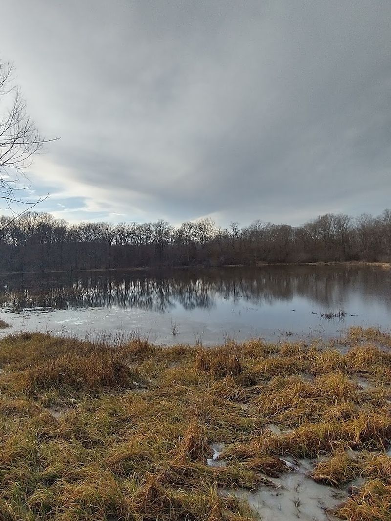 Getting There and What You Need to Know