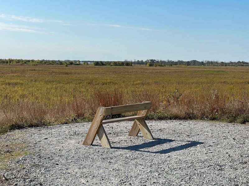 Free Admission and Genuinely Accessible Amenities