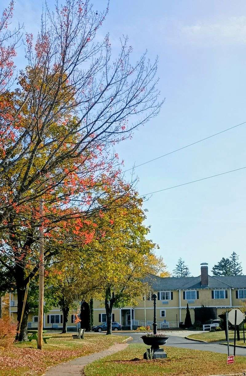 Bethel Hill Common Feels Like Winter’s Living Room