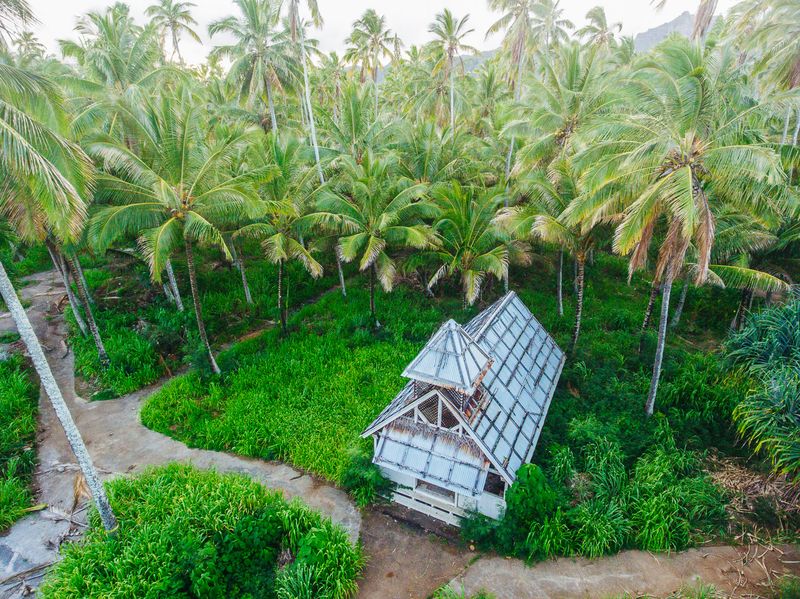 Elvis Turned It Into A Pop Culture Icon