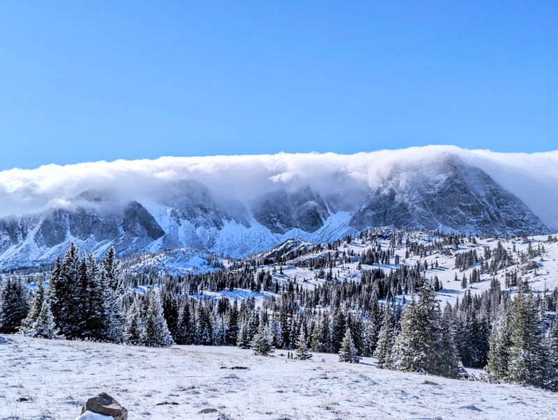 Snowy Range Meadows Locals Quietly Protect