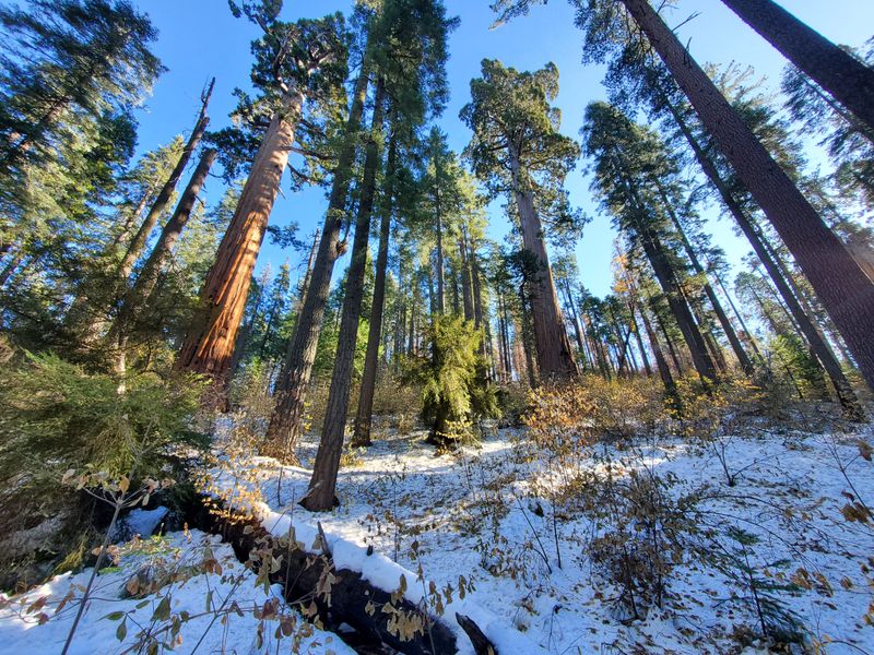 Silence Is Part Of The Experience