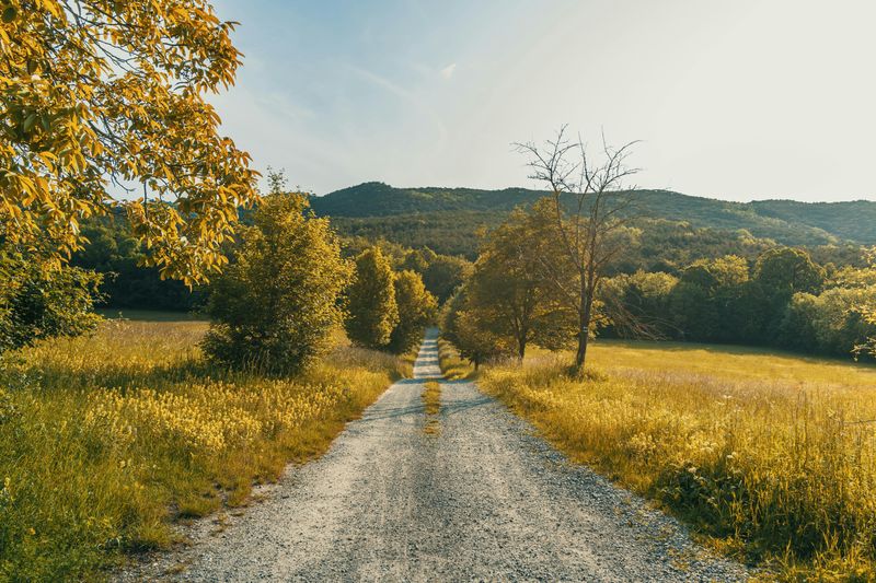 Roads That Follow The Land Naturally