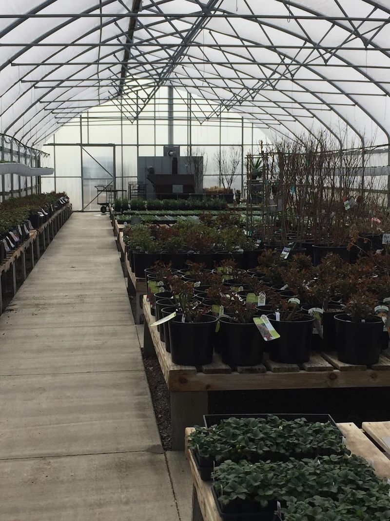 The Kind Of Place You Tell People About