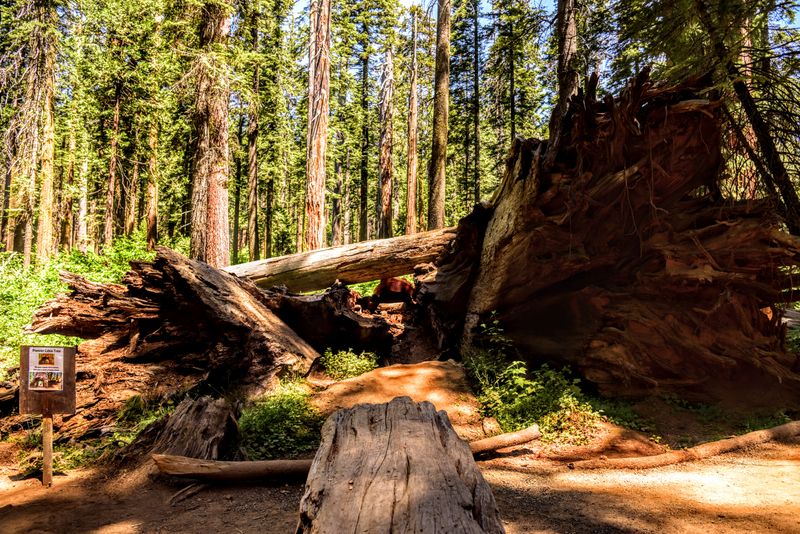 Easy To Miss If You Do Not Know Where To Go