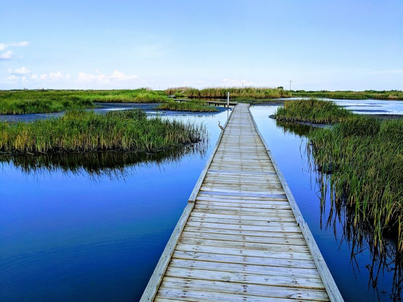 The Boardwalk Over the Marsh