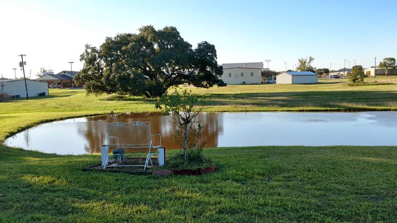 Arrival in a Place That Time Forgot