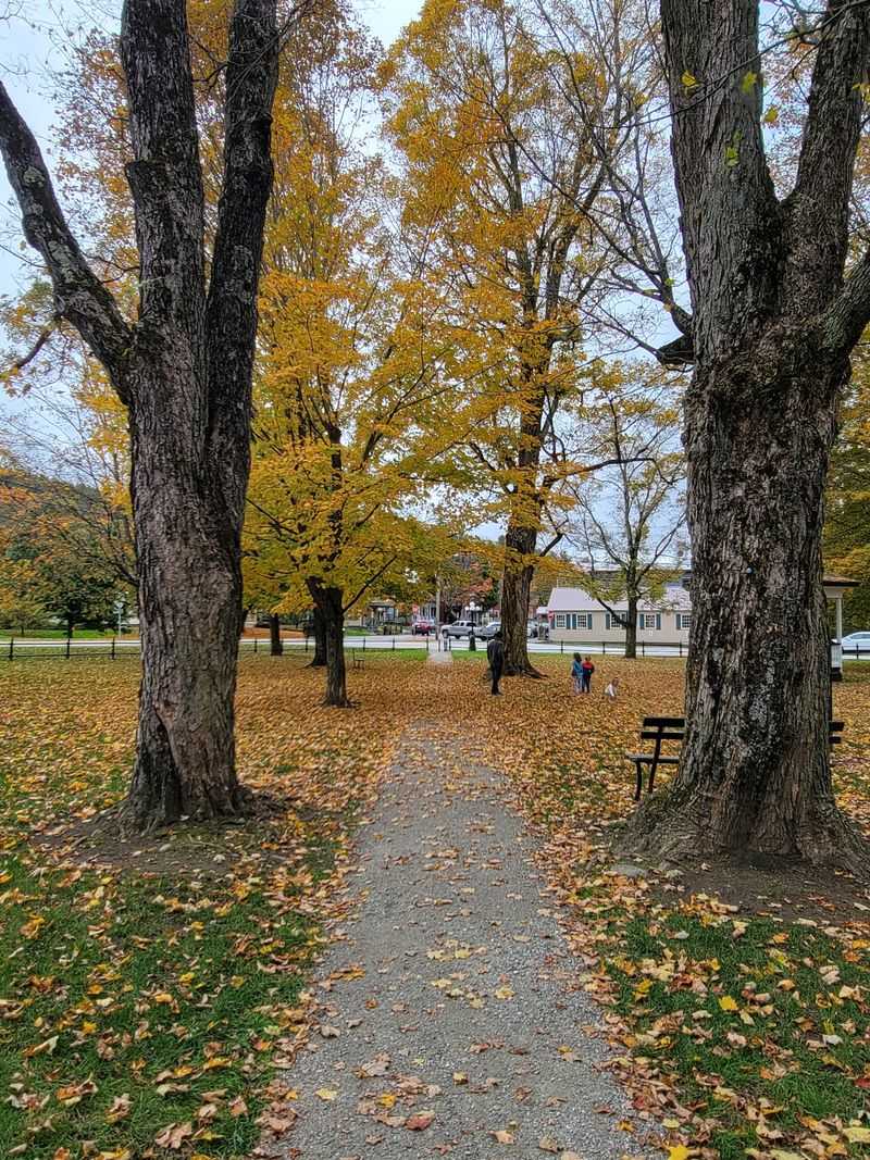 A Village Green That Looks Dusted For The Holidays All Winter