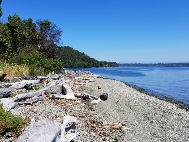 Why The Area Feels Busy Yet Still Secluded