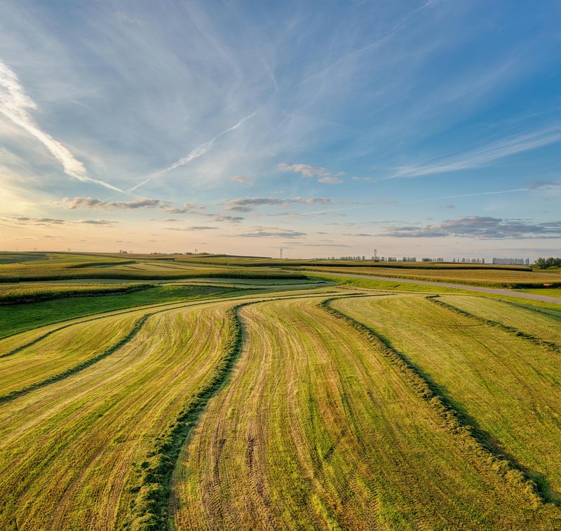 It Literally Incorporated To Stay Quiet