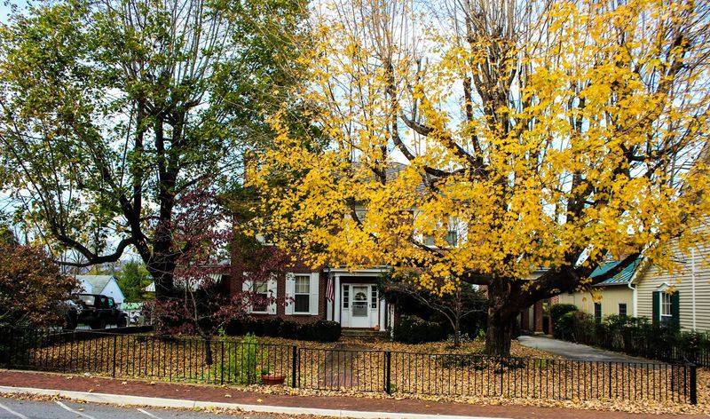 Locals Who Live the History Daily