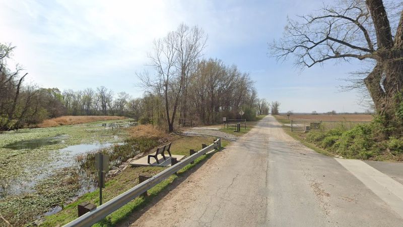 Birdwatching Paradise Right in Front of You