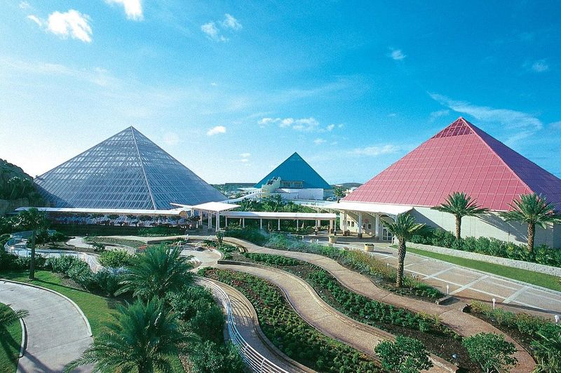 Rainforest Pyramid Brings the Jungle Indoors