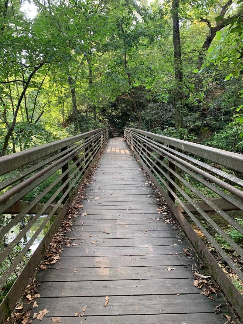 Trail Networks That Reward Your Inner Explorer