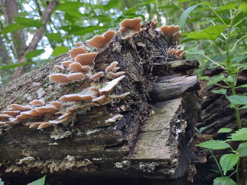 Wildlife and Birdwatching That Will Genuinely Surprise You