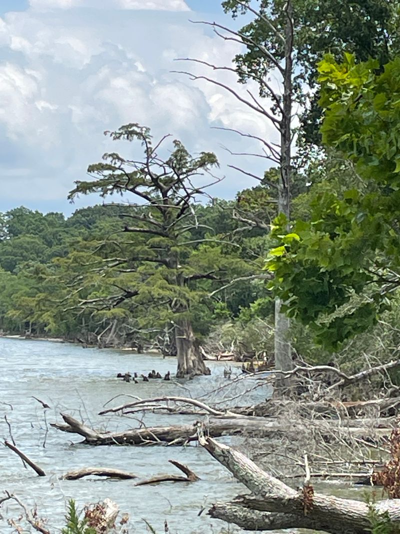 Native American Heritage Predates Colonial Settlement