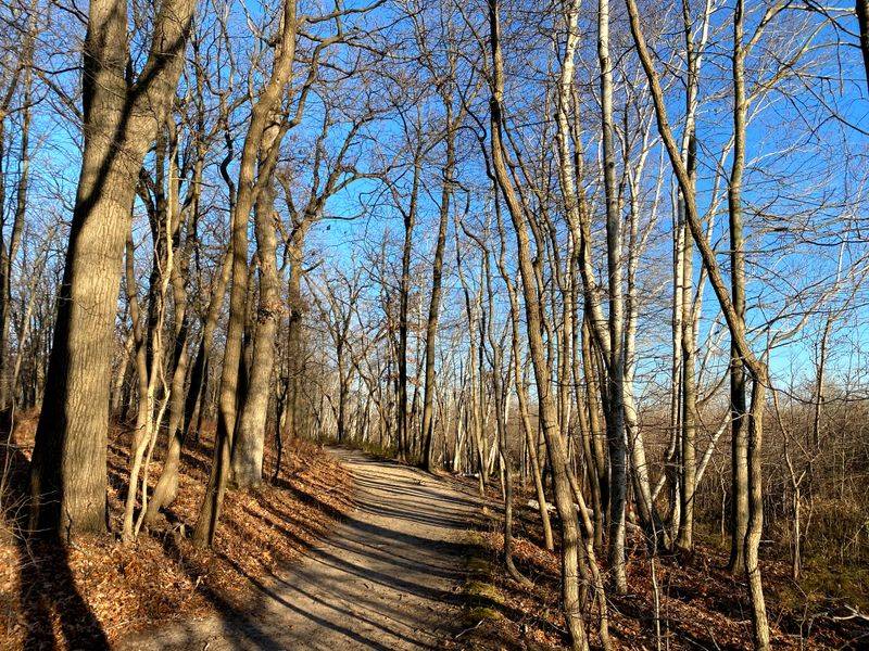 Seasonal Changes That Make Every Visit Unique