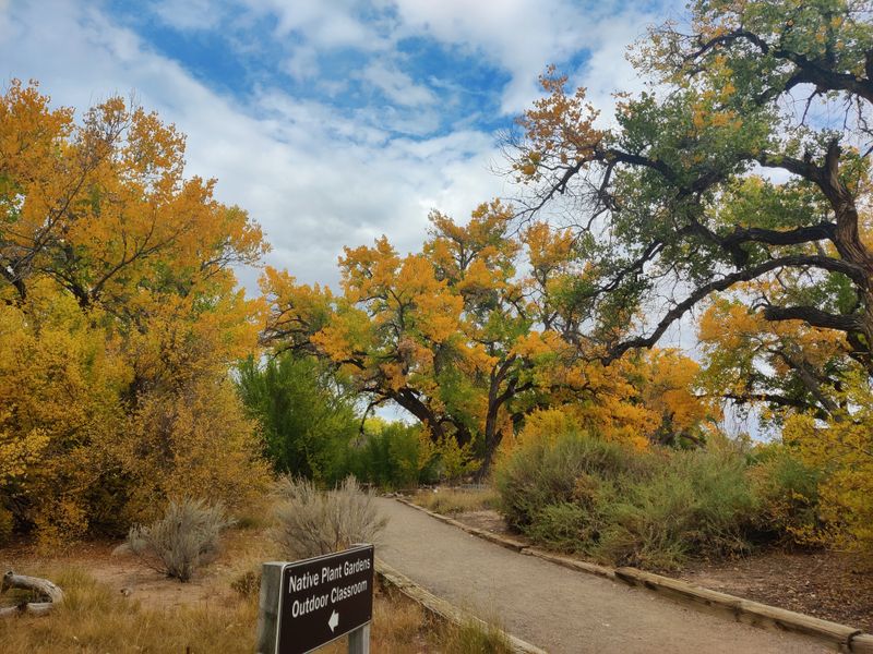 Rio Grande Nature Center State Park