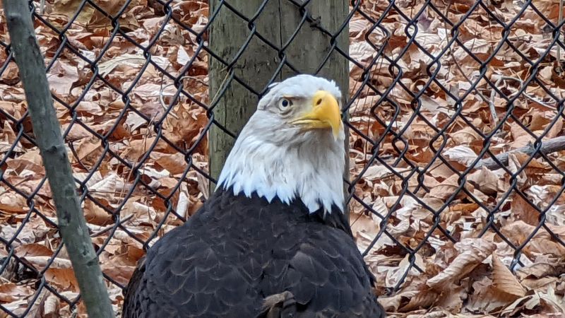 Conservation Mission Drives Everything They Do