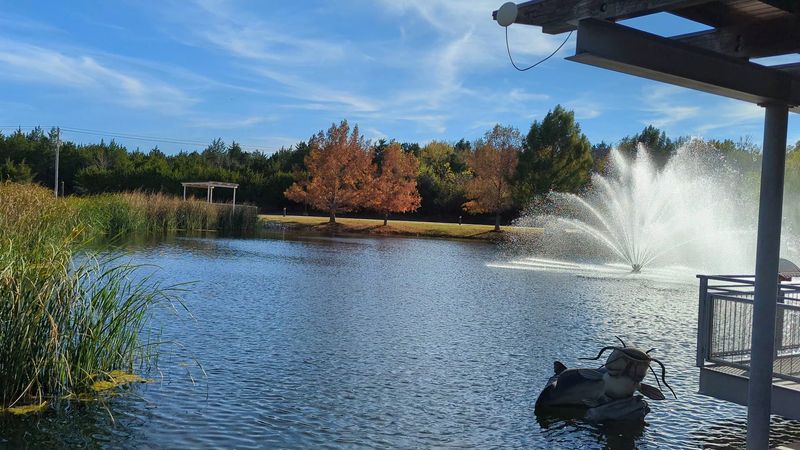 Perfect Timing for Your Visit